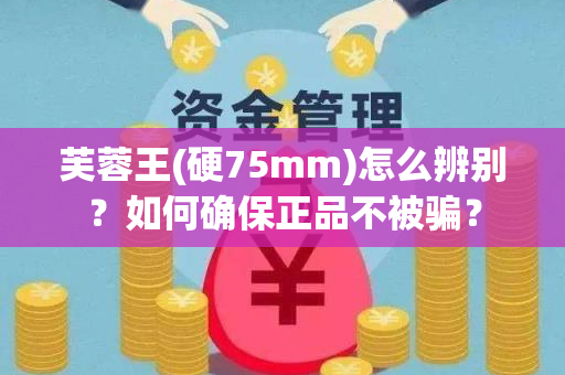 芙蓉王(硬75mm)怎么辨别？如何确保正品不被骗？